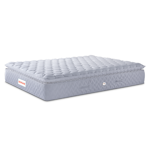 Spine Pro - Pocketed Spring With Memory Foam